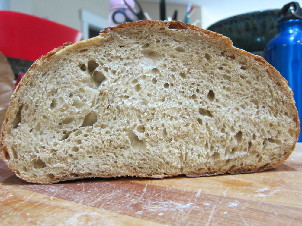 Sourdough Crumb