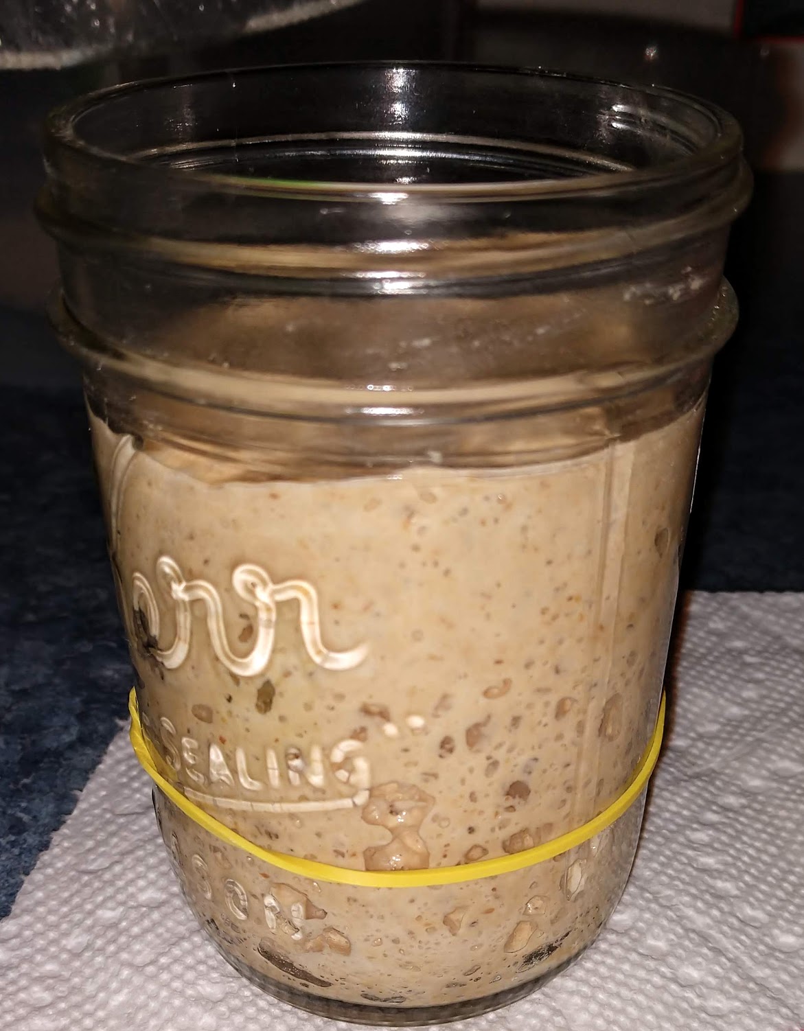 Yeasty Beer Sludge Starter