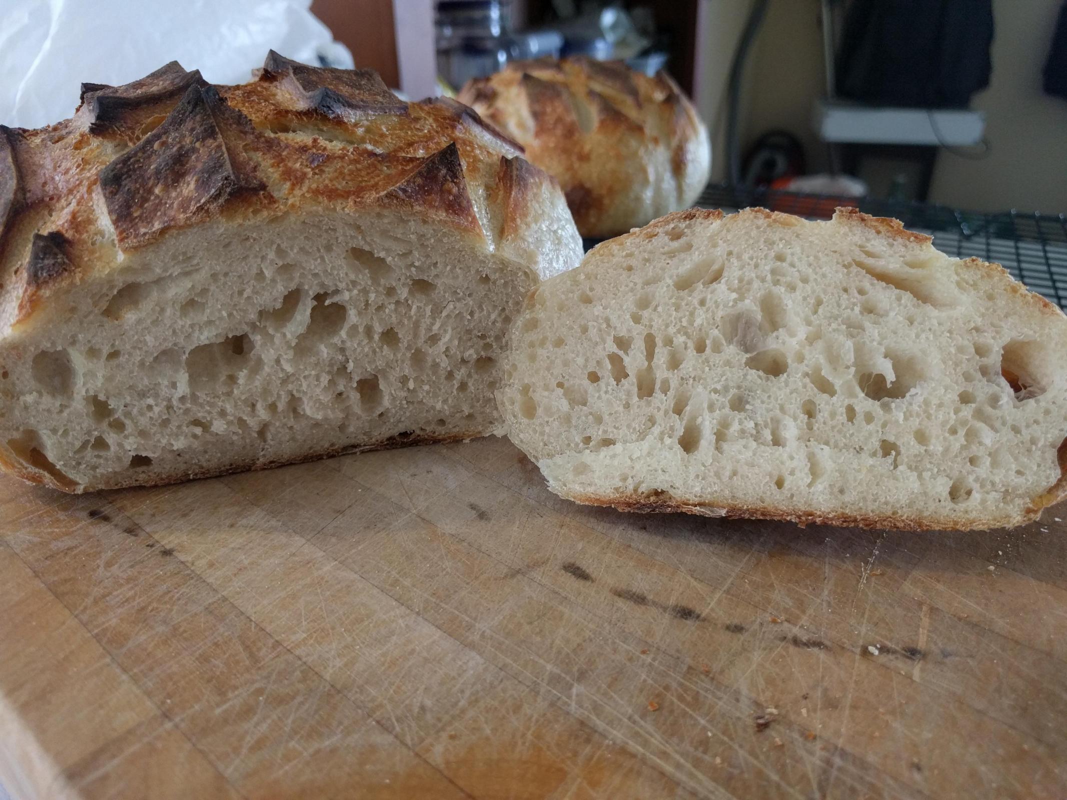 SF Sourdough Crumb