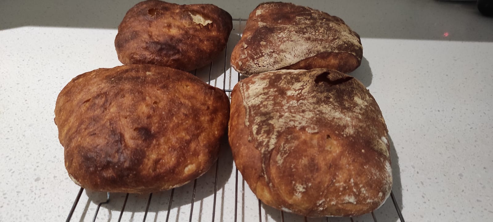 Pan de cristal loaves