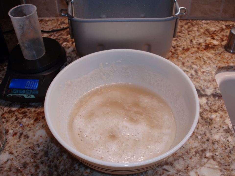 Sourdough Starter from Refrigerator