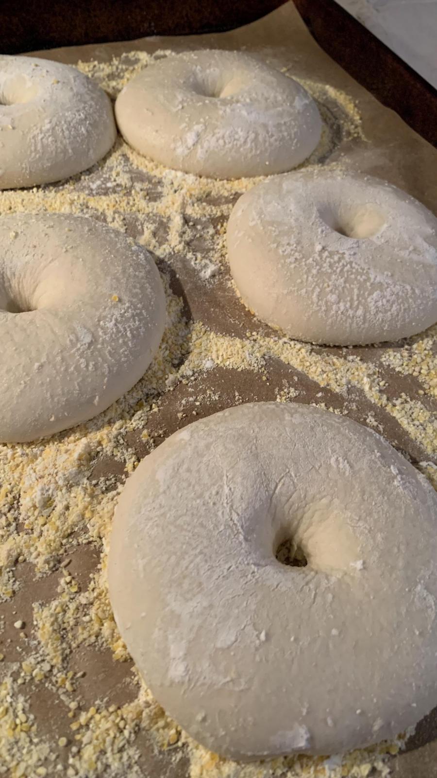 Bagels proofing