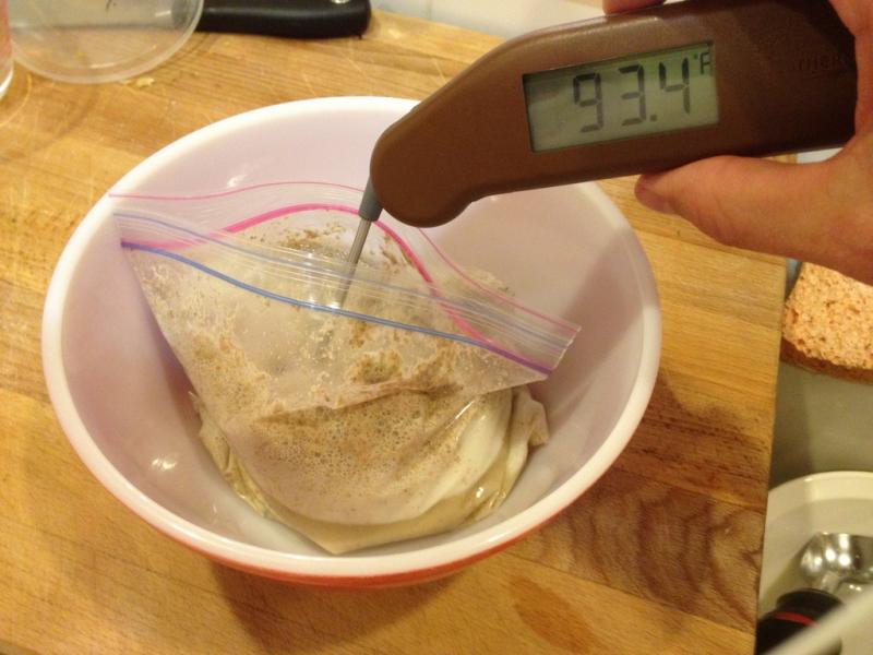 day 2 sourdough temp reads 93.4F