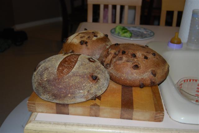 Chocolate SOurdough