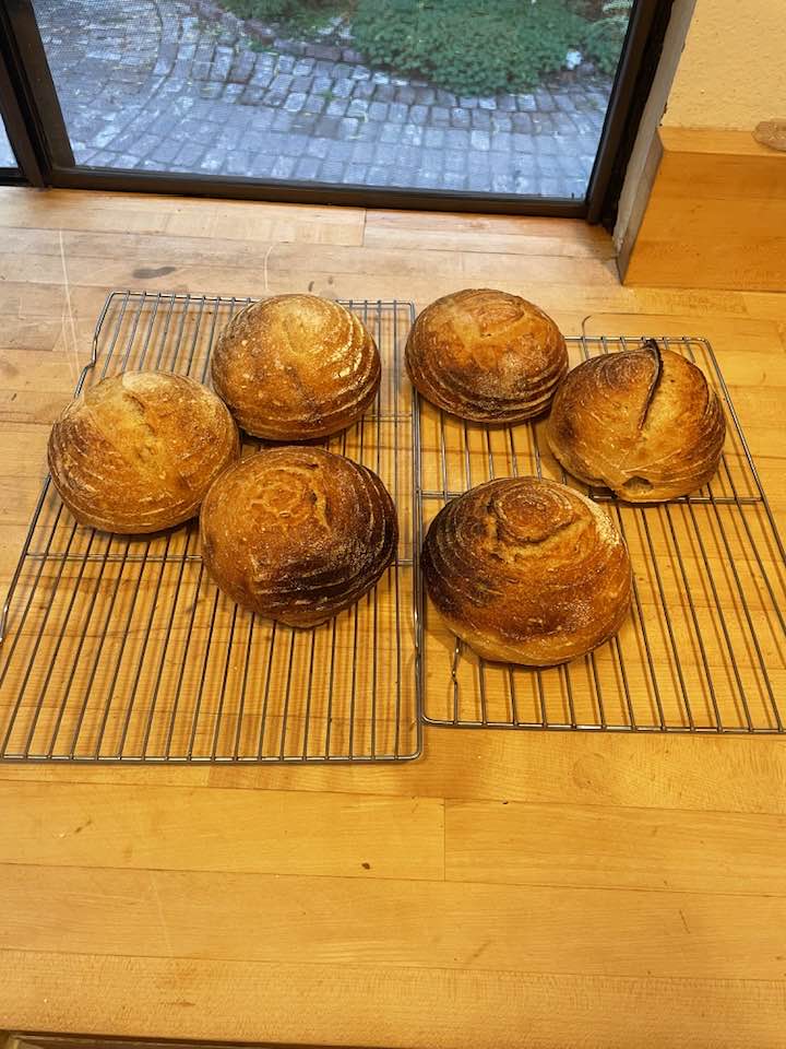 mini sourdoughs