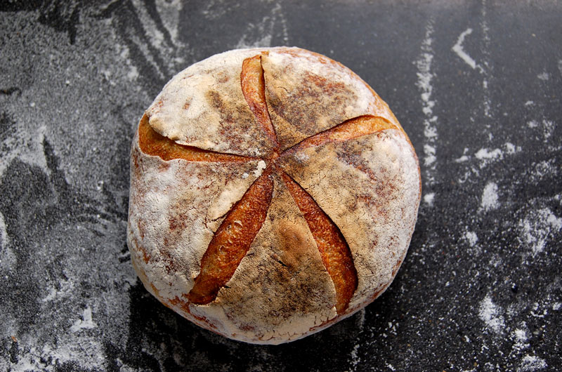 Sourdough Loaf