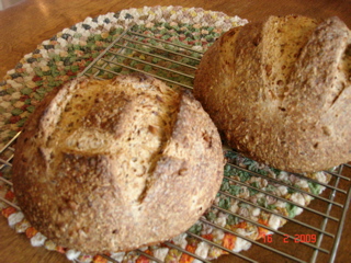 five-grain levain