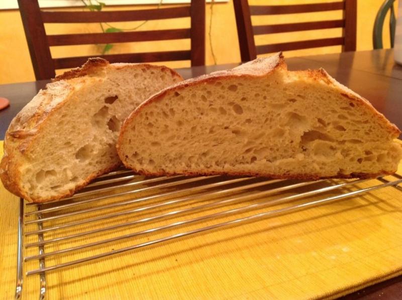 no knead sourdough