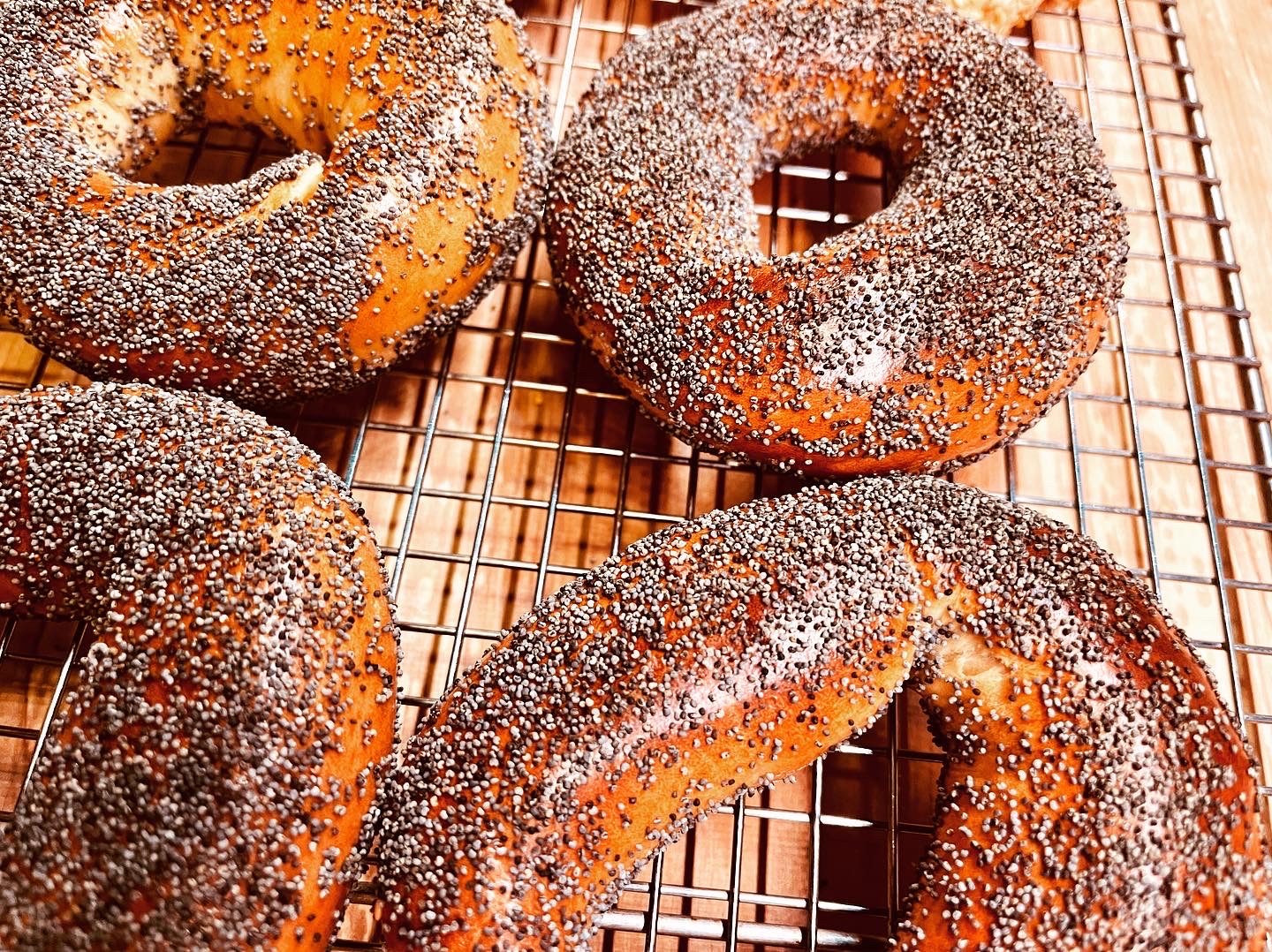 My poppy seed Montreal style bagles