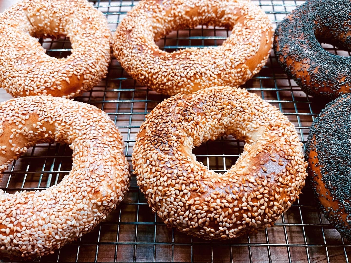 My sesame seed Montreal Bagels