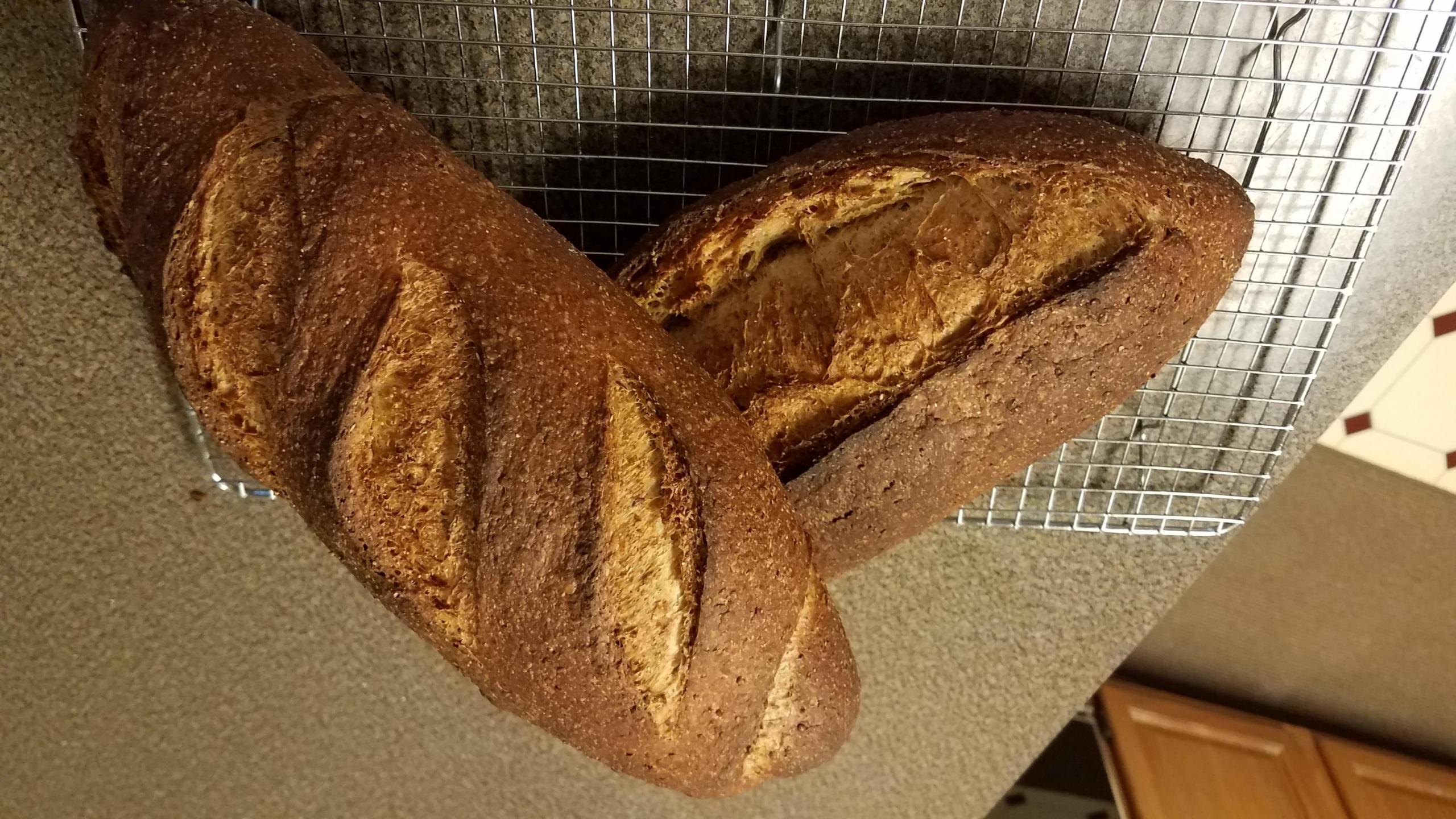 multi grain