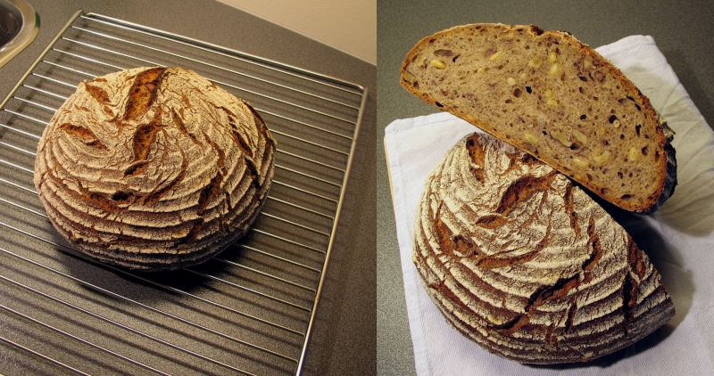 Sourdough rye with walnuts